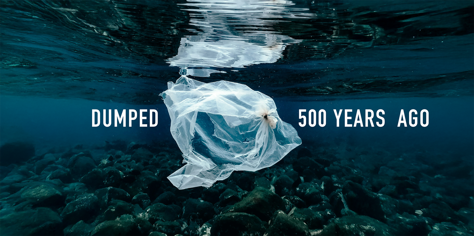 world enviroment day article copy